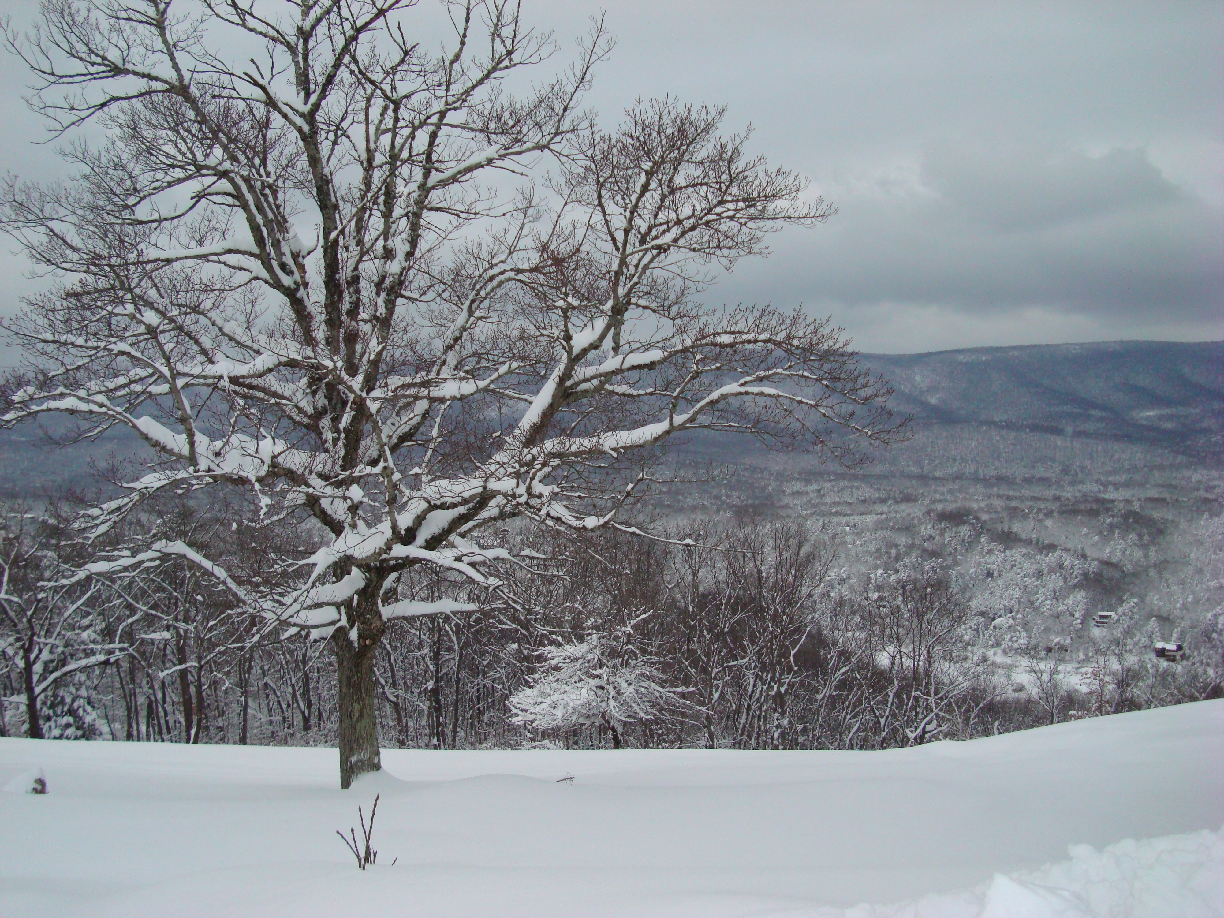 Winter View from Sky Chalet Mountain Lodge